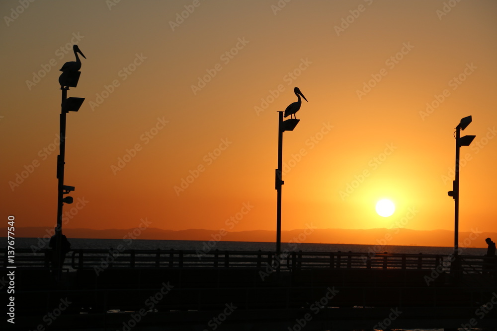 Beautiful sunset over the pier - AUSTRALIA