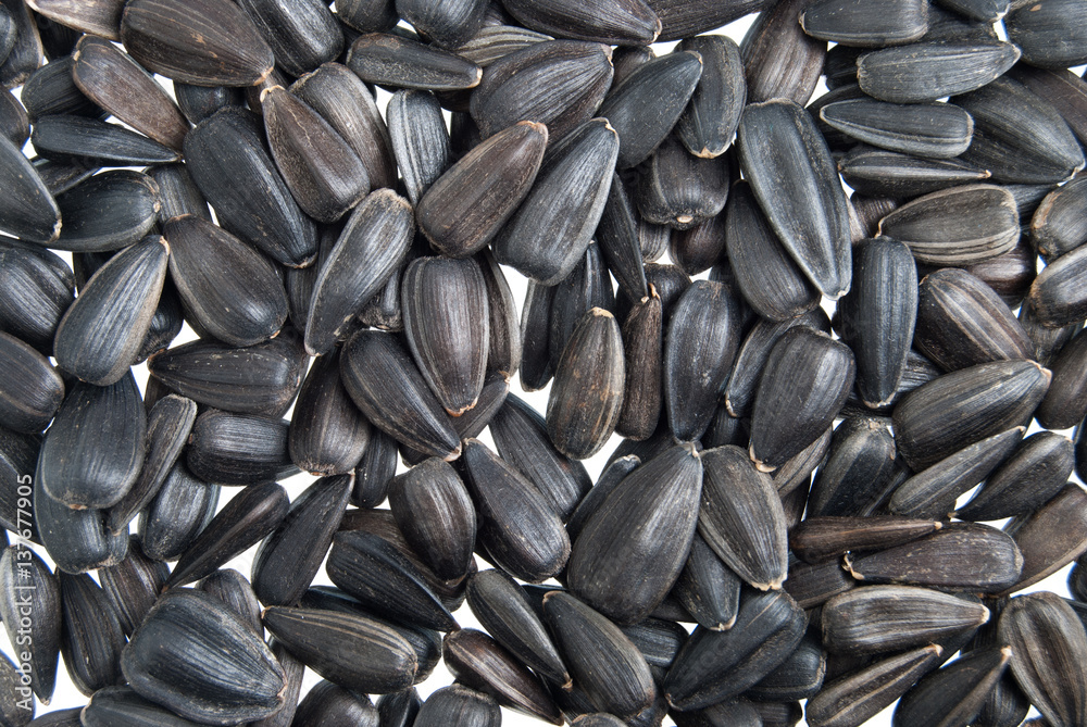Sunflower seeds macro background Sunflower seeds macro background