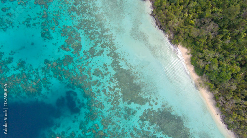 Tropical beach with sea and palm taken from drone. Seychelles famous shark beach - aerial photo - Boost up color Processing.