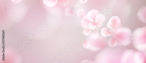 Nature background with blossom branch of pink flowers.