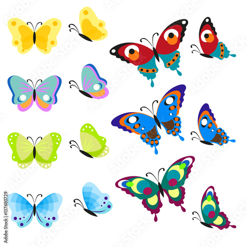 Set of multi-colored butterflies. Insects are a top view and side. Vector, illustration in flat style isolated on white background EPS10.