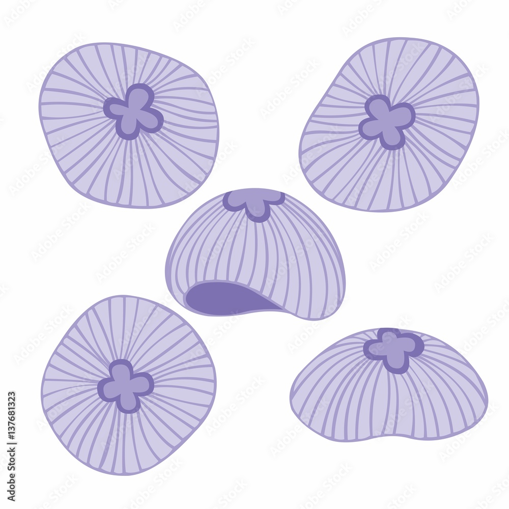 Jellyfish. Vector collection for your design