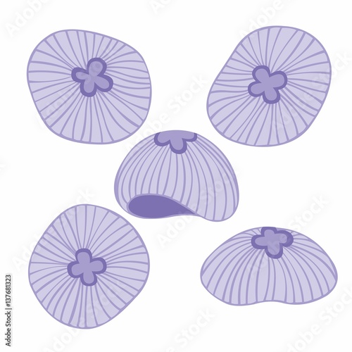 Jellyfish. Vector collection for your design