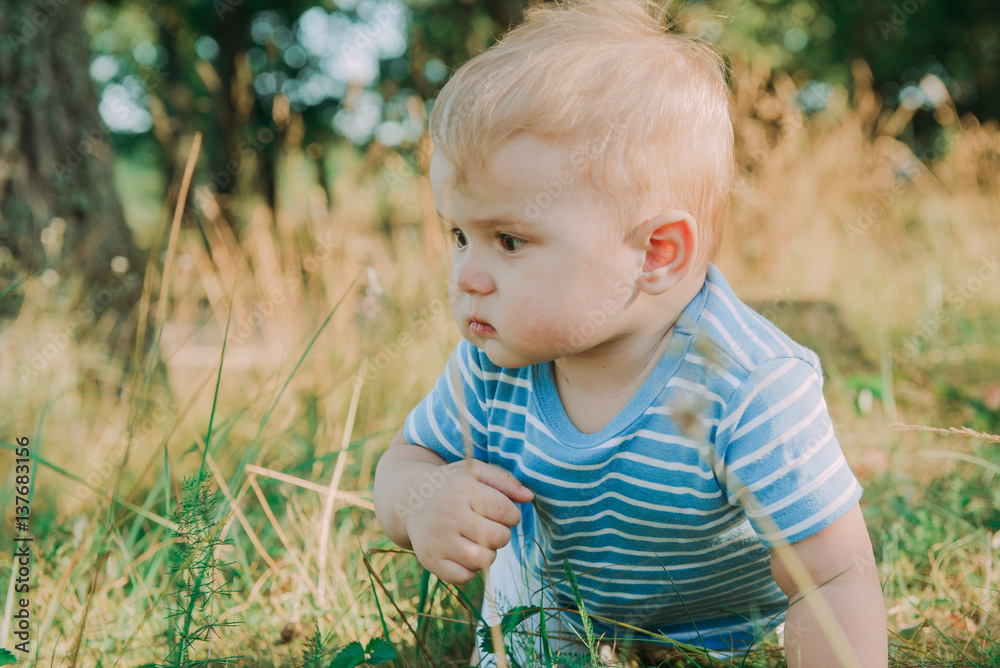 1 year old european cute boy on the grass. Birthday anniversary. 1 year old european cute boy on the grass. Birthday anniversary.