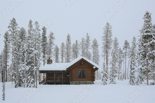Log Cabin in the snow surrounded by Tall trees © Quattrophotography