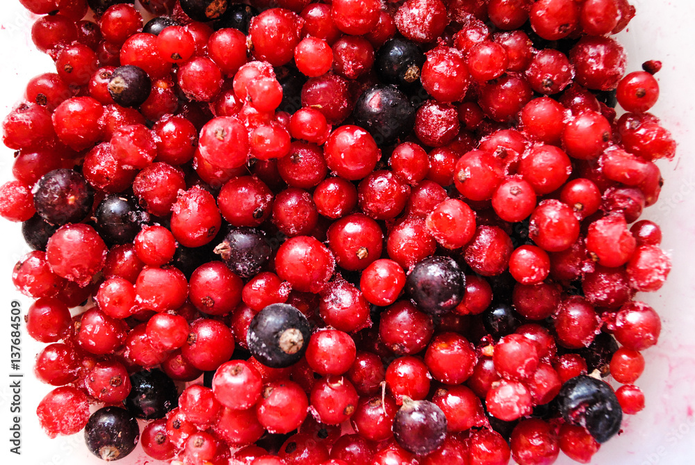 red berries red berries