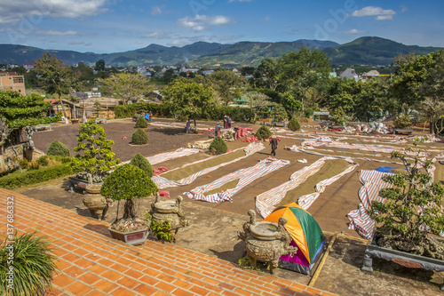 Coffe Da Lat Vietnam photo