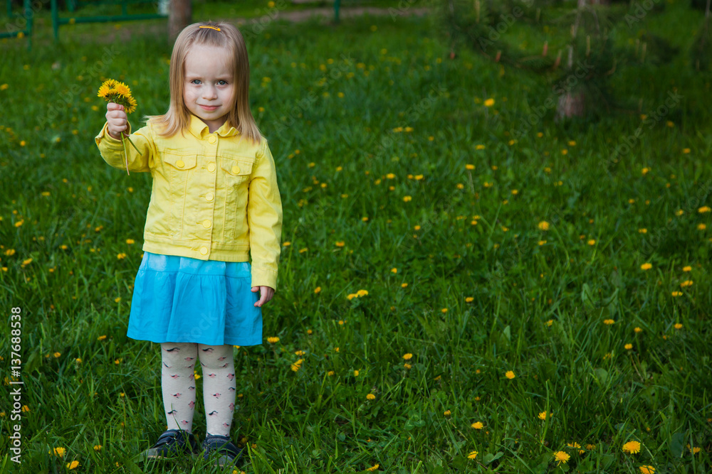 Adorable little girl picks flowers on a green field. Adorable little girl picks flowers on a green field.