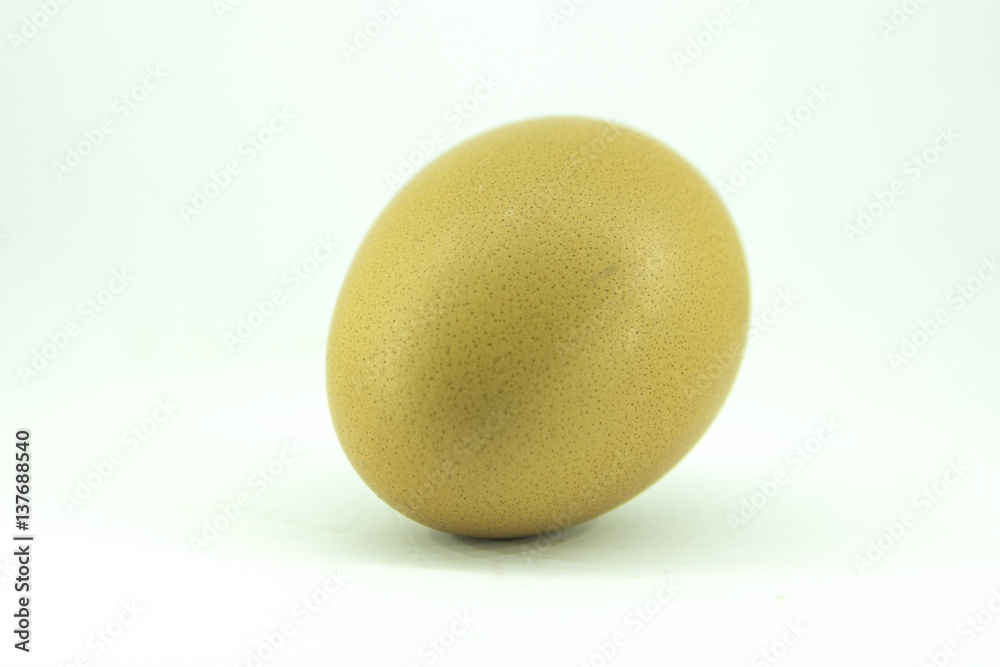 one egg one egg