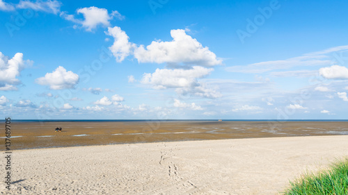 Sandstrand im Weltnaturerbe  Wattenmeer  Norddeutschland