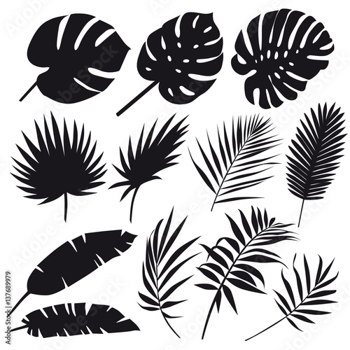 Wallpaper Mural Set of palm leaves silhouettes isolated on white background. Vector EPS10  Torontodigital.ca