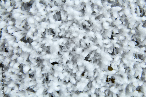 Frozen metal mesh coated with frost in the cold. Background