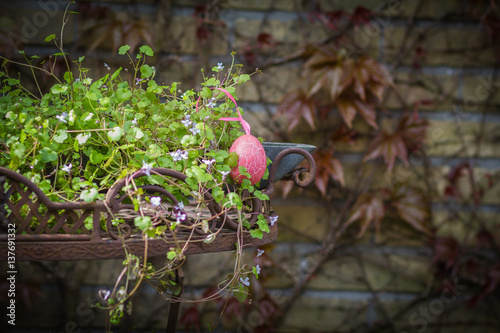 Easter in a garden with pink egg, gracefully plant and basket of iron.
