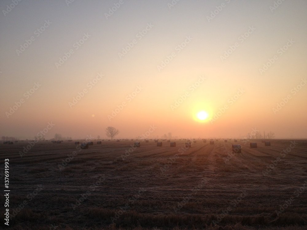 Tramonto nei Campi