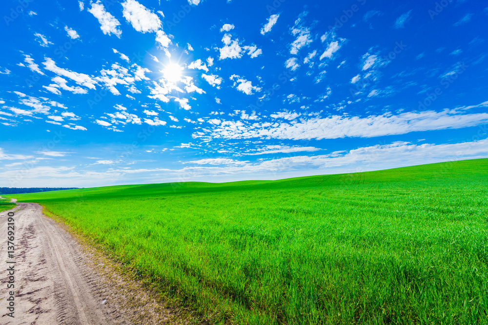 Fototapeta premium Green Field and Beautiful Sunset