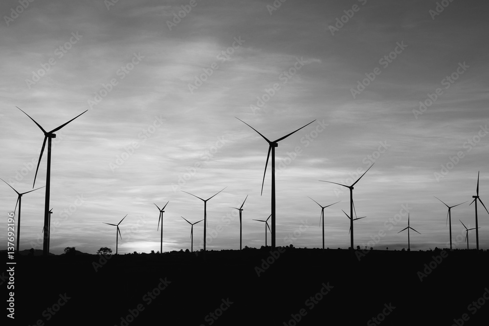 Fototapeta premium Wind turbines farm at the sunset