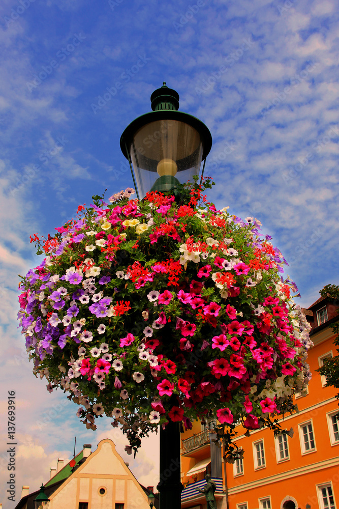Colorful flowers on street lamp