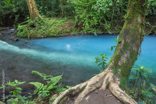 Blue water river in the jungle / landscape.