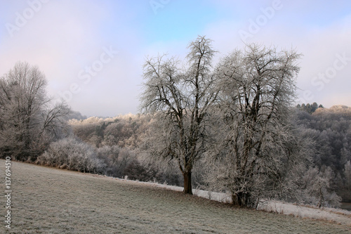 Winterlandschaft
