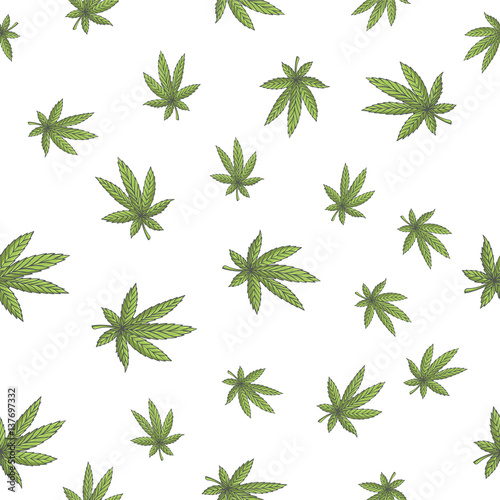 Seamless Texture Marijuana Four