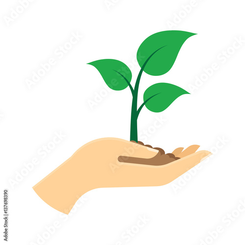 Green sprout in hand.