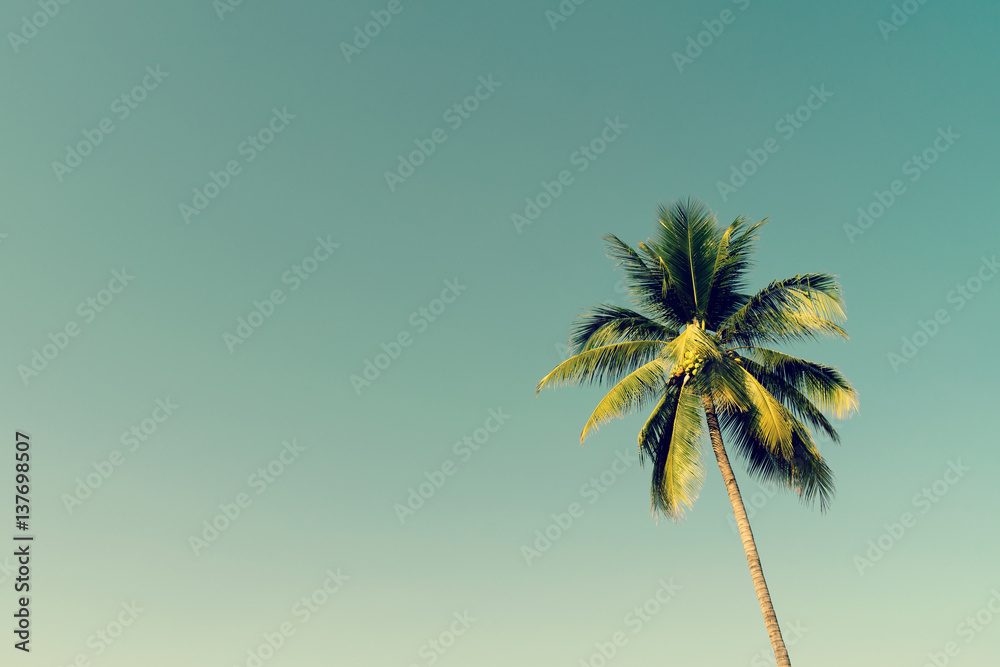 Naklejka premium Palmy kokosowe i świeci słońce z efektem vintage.