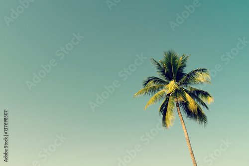 Photo Coconut palm trees and shining sun with vintage effect.