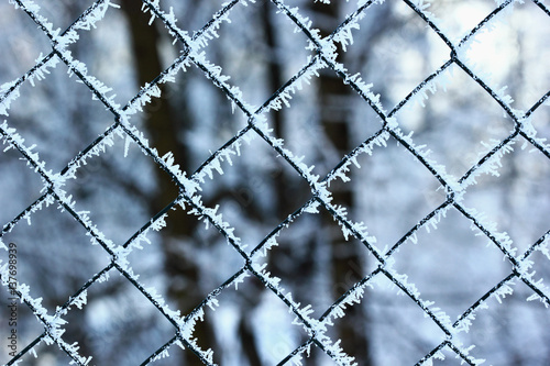 Frosted metal grid