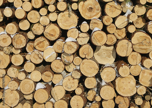 Stacked wood pine timber for construction buildings Background