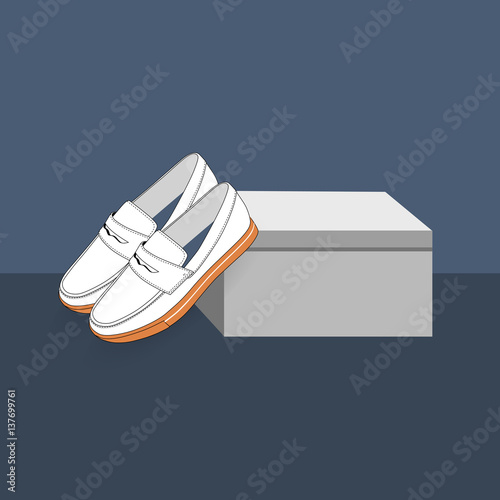 classic male penny loafers with box , vector, illustration,