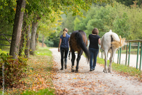 Friends With Their Horses © nullplus