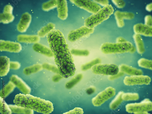 Bacteria   Germ infection and bacterial disease epidemic