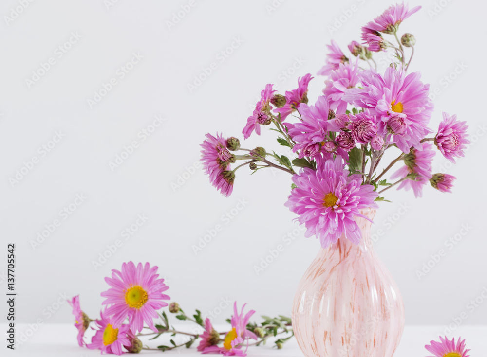 Obraz premium Aster amellus bouquet in ceramic vase on white background