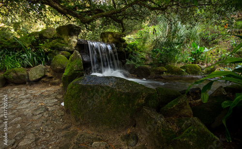 Mountain creek with fresh green moss on the stones  long exposure for soft water look