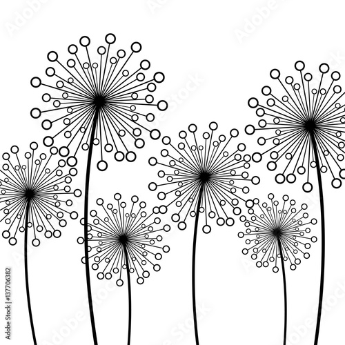 Fototapeta Naklejka Na Ścianę i Meble -  Background with decorative flowers dandelions