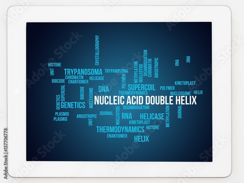 Nucleic acid double helix photo