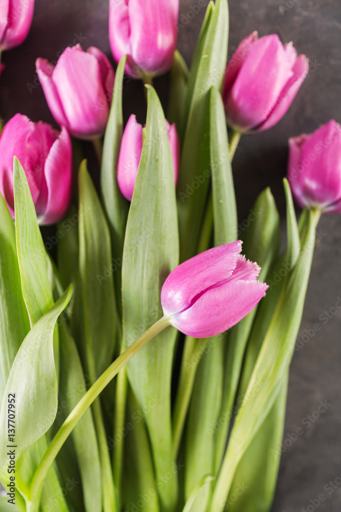 Pink tulips on gray abstract background. Pink tulip. Tulips. Flowers. Flower background. Flowers photo concept. Holidays photo concept. Copyspace Pink tulips on gray abstract background. Pink tulip. Tulips. Flowers. Flower background. Flowers photo concept. Holidays photo concept. Copyspace
