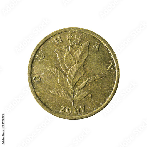 10 croatian lipa coin (2007) reverse isolated on white background photo