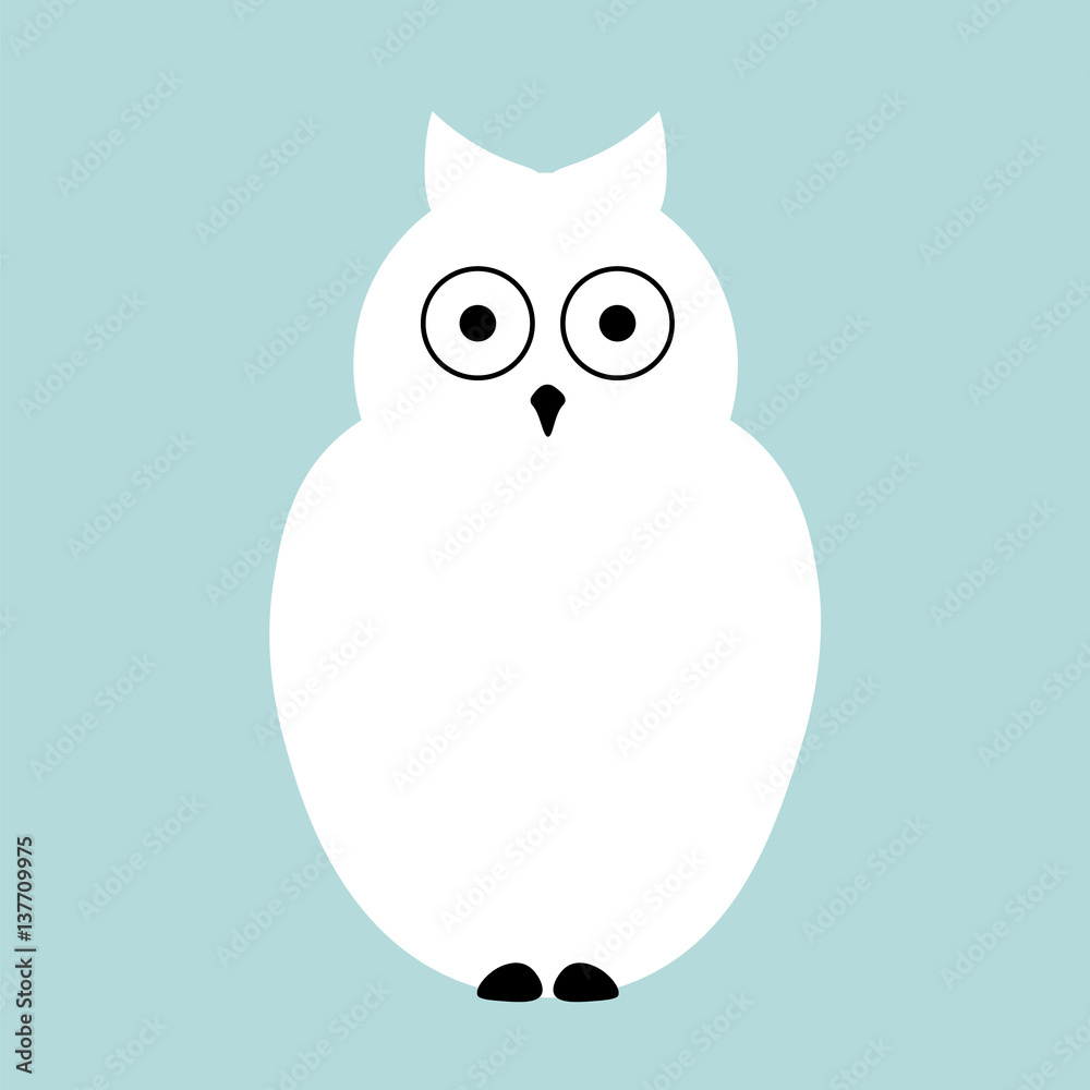Vector flat Owl illustration animal background.