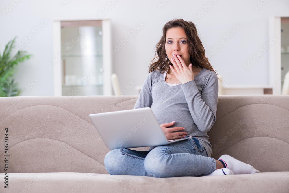 Fototapeta premium Pregnant woman working on laptop sitting on sofa