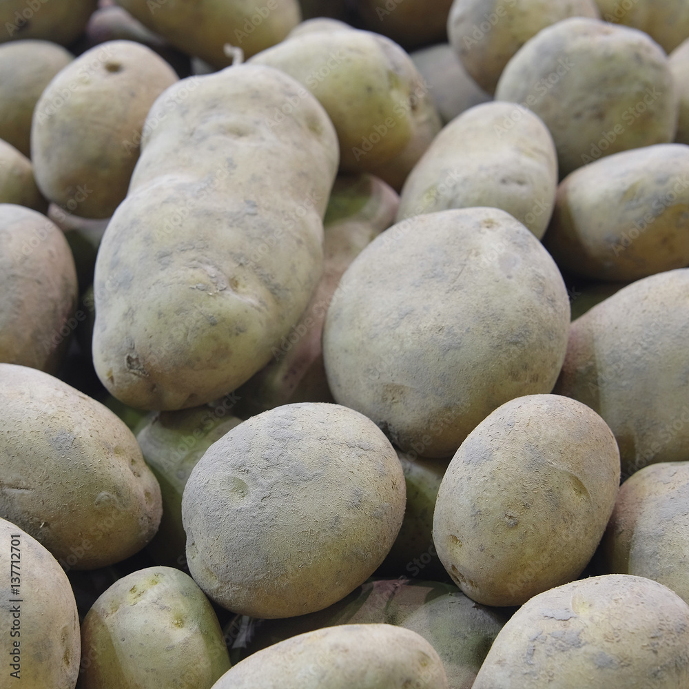 Background with the image of potatoes Background with the image of potatoes