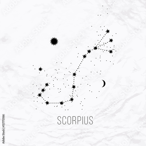 Photos Astrology sign Scorpius on white paper background