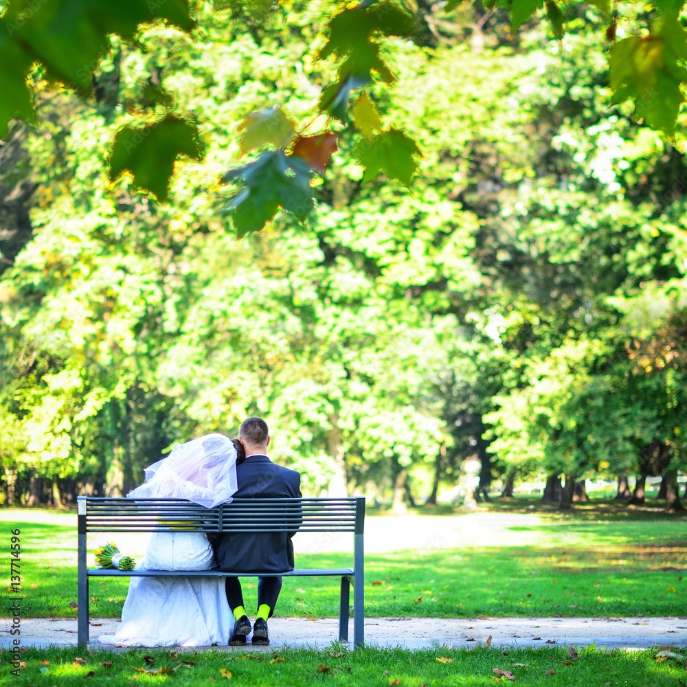 Fototapeta premium Young wedding couple sitting on bench. Bride and groom are enjoying wedding.