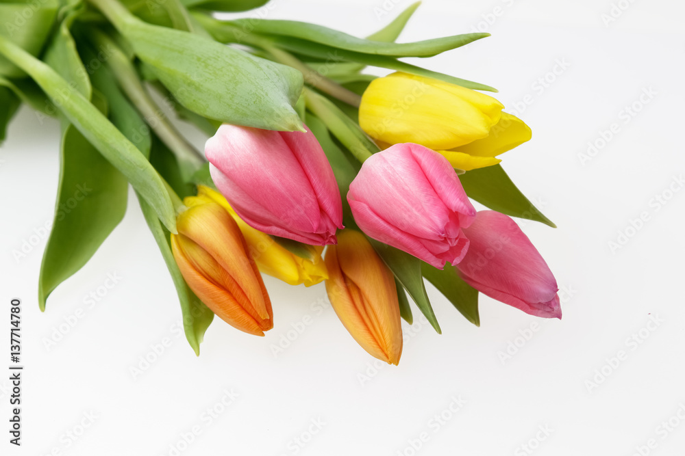 Orange, yellow and pink tulips on white Orange, yellow and pink tulips on white