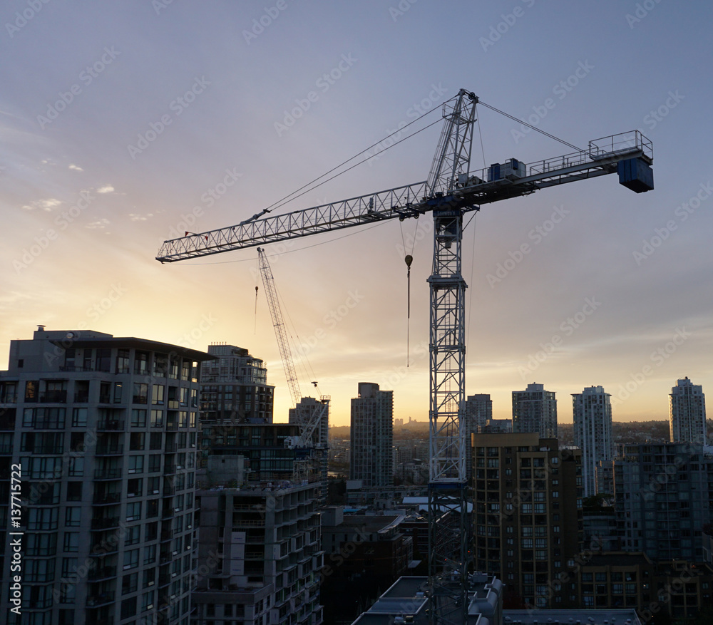 Crane at Dawn