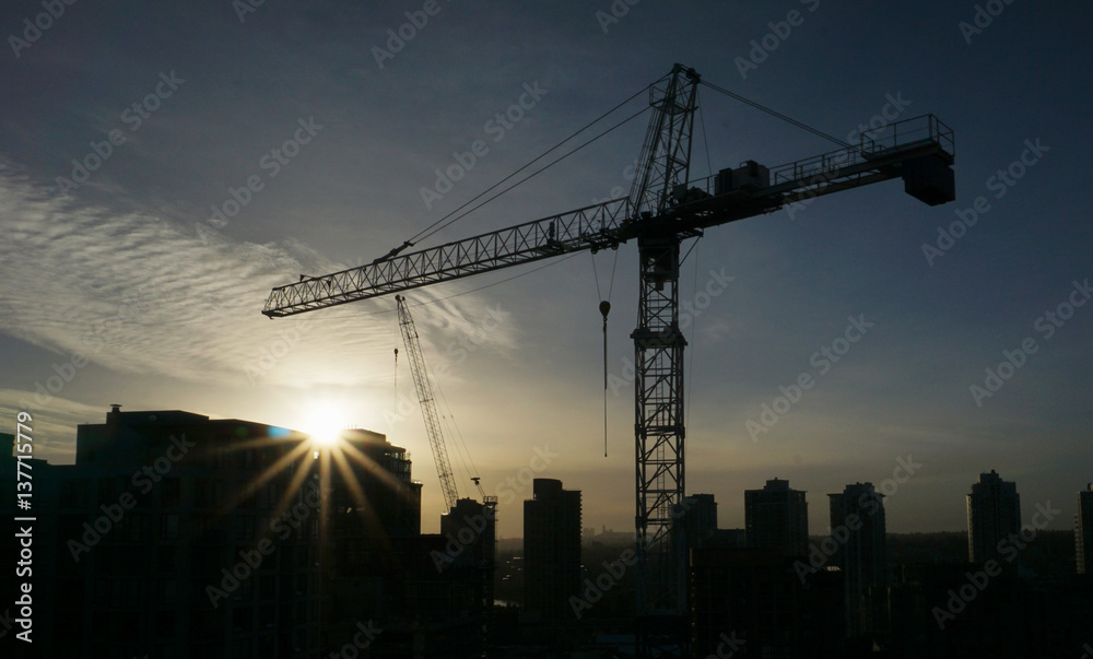 Crane at Dawn