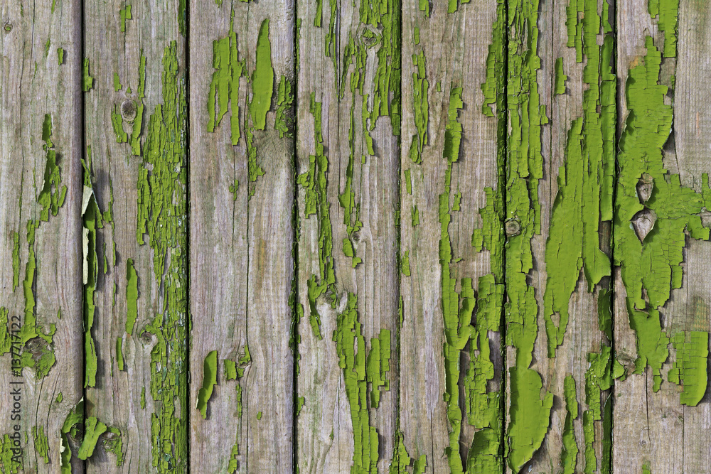 shelled fence with green paint shelled fence with green paint