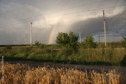Regenbogen