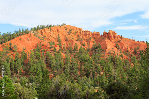 Red canyon panorama  Utah  USA