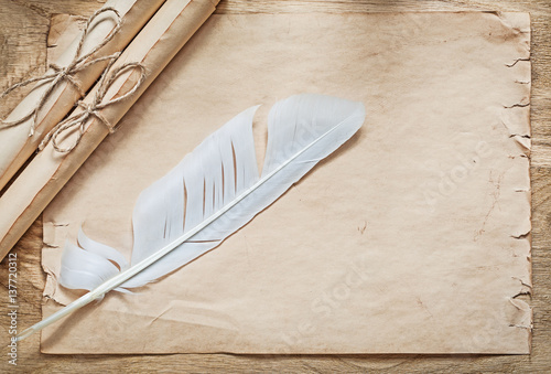 Medieval parchment paper rolls plume on wooden board